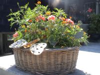 Blomsterdekoration