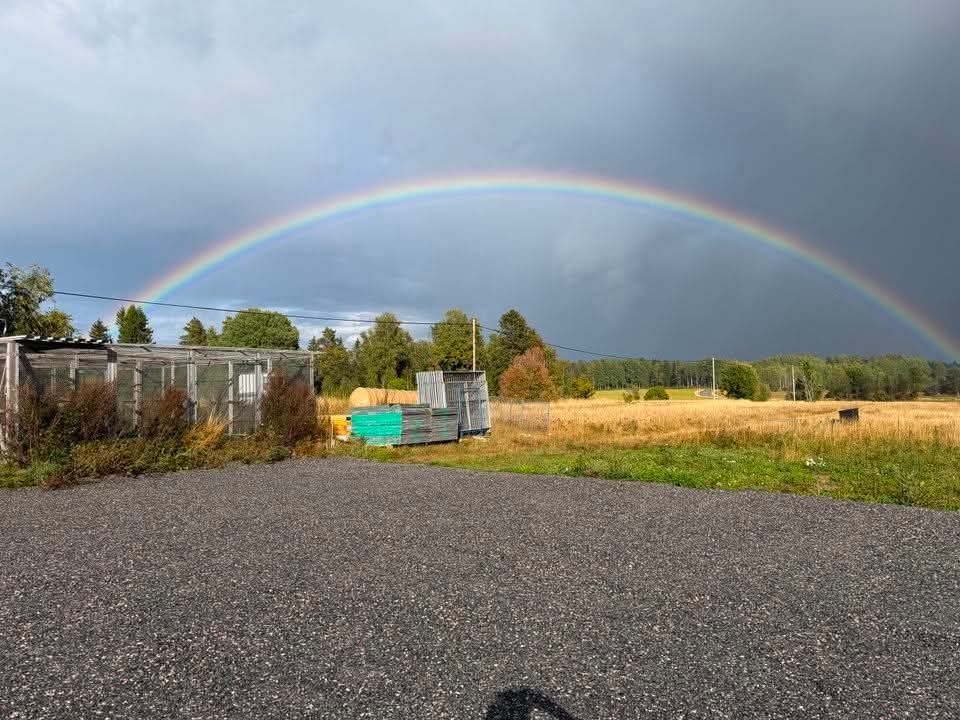 Parkering på bigården i Norrtälje