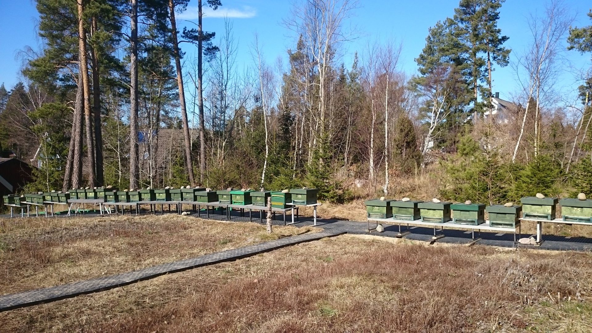 Bikupor i Järfälla